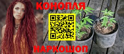 молекула духа Гуково
