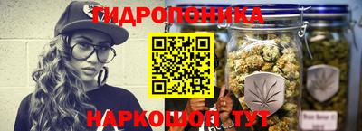 молекула духа Гуково