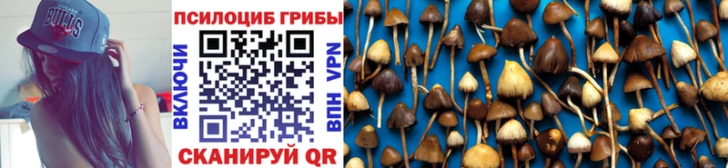 Галлюциногенные грибы MAGIC MUSHROOMS  hydra зеркало  Белая Калитва 
