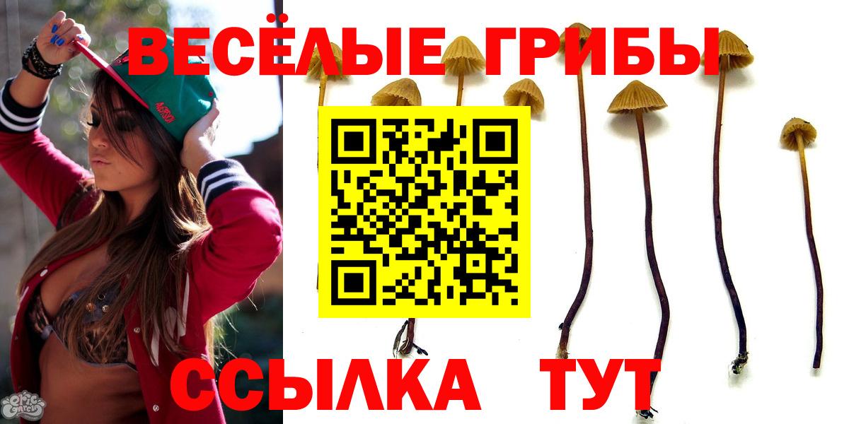 Белая Калитва  Галлюциногенные грибы Psilocybine cubensis  Галлюциногенные грибы мицелий  Вход с VPN 